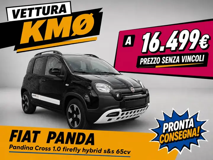 Fiat Pandina Cross 1.0 hybrid s&s 65cv